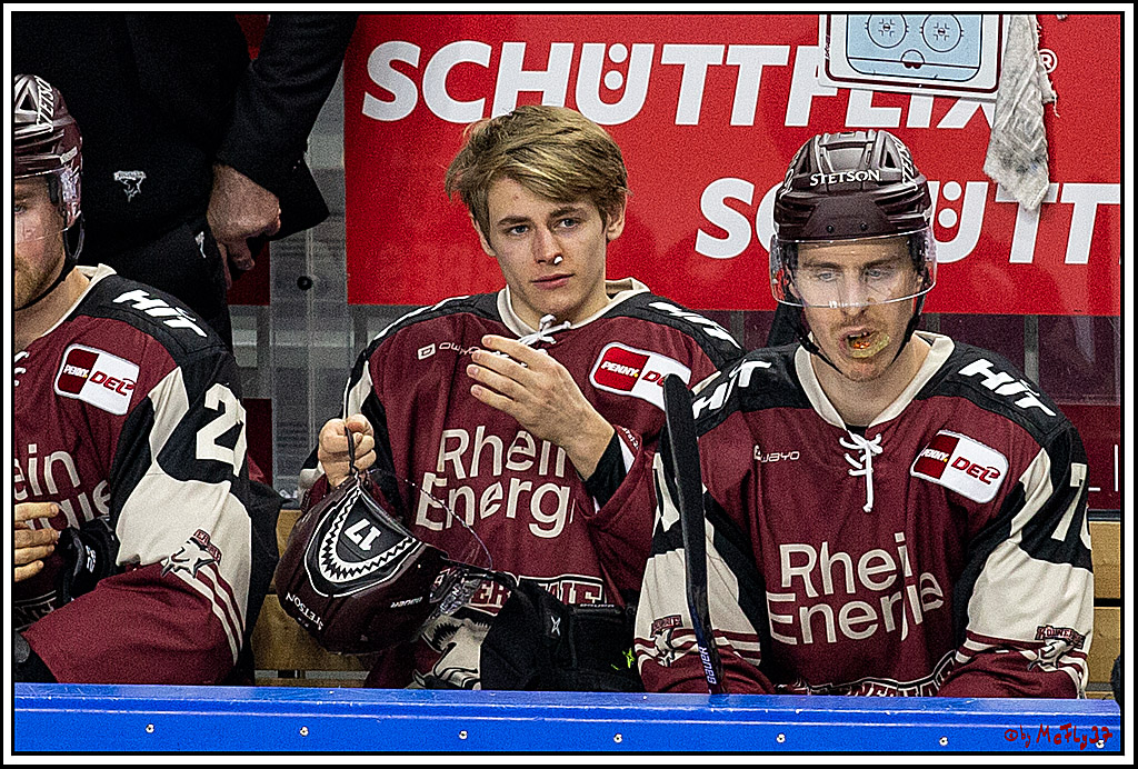 PENNY DEL;  Koelner Haie - Krefeld Pinguine; Koeln, 28.02.2021